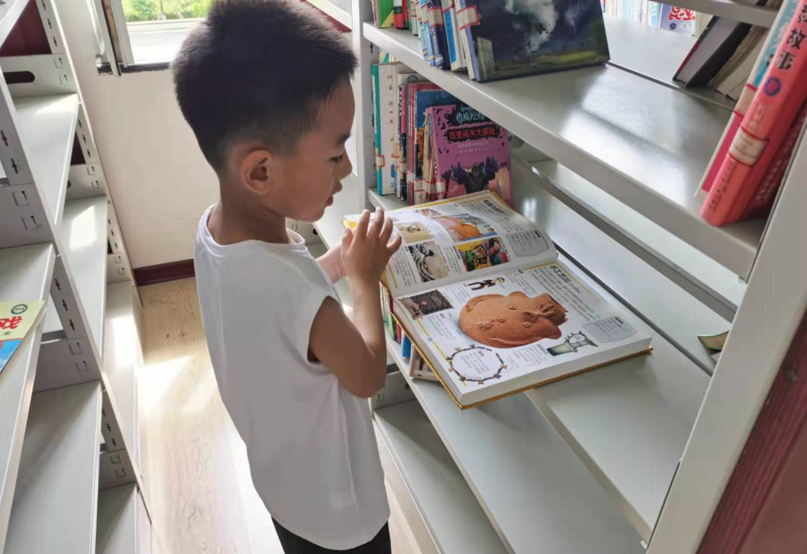 图片24.png 图片24.png