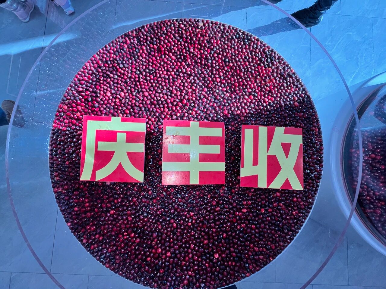 微信图片_2025-09-19_095047_075.jpg 微信图片_2025-09-19_095047_075.jpg